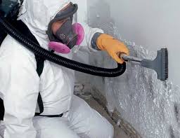 Best Mold Damage Restoration in Canal Winchester, OH